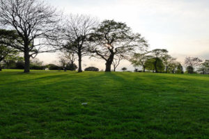 brockwellpark5